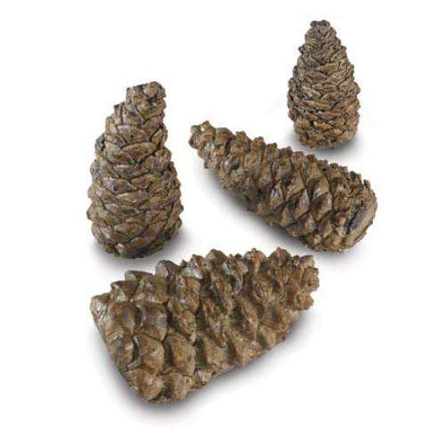Wilderness Pine Cones